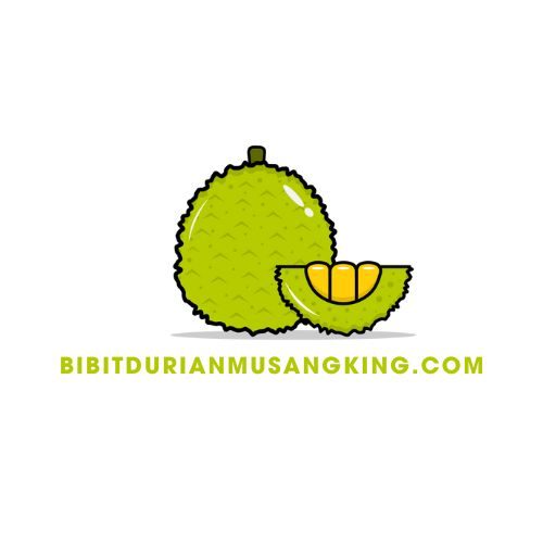 logo bibitdurianmusangking